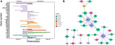 Comprehensive analysis of differential long non-coding RNA and messenger RNA expression in cholelithiasis using high-throughput sequencing and bioinformatics